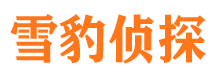 青田市婚姻出轨调查